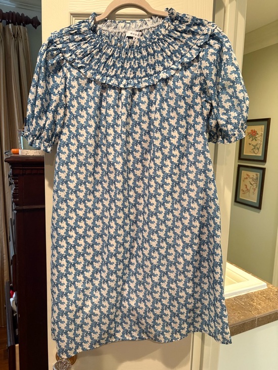 moodie Dresses & Skirts - moodie Blue and White Mini Dress with Smocked Yoke